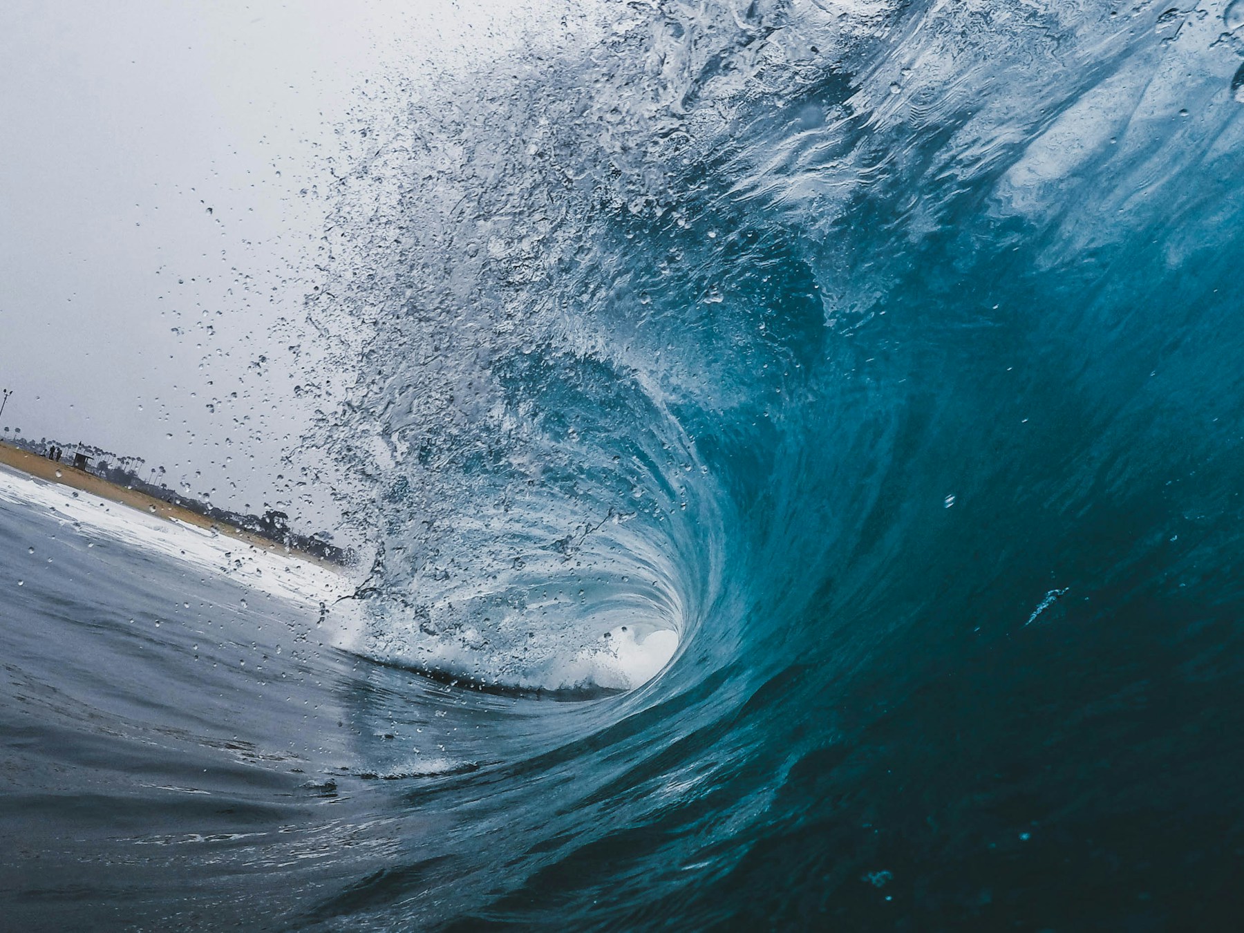 Sunlit ocean wave curling into a barrel